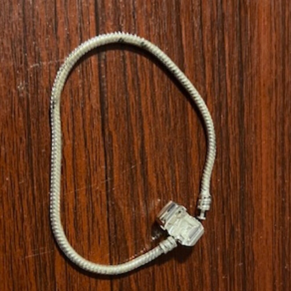 NEW- Charm Bracelet